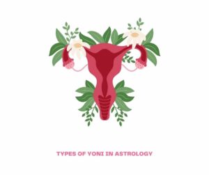 types of Yoni