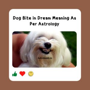 Dog Bite in Dream Meaning
